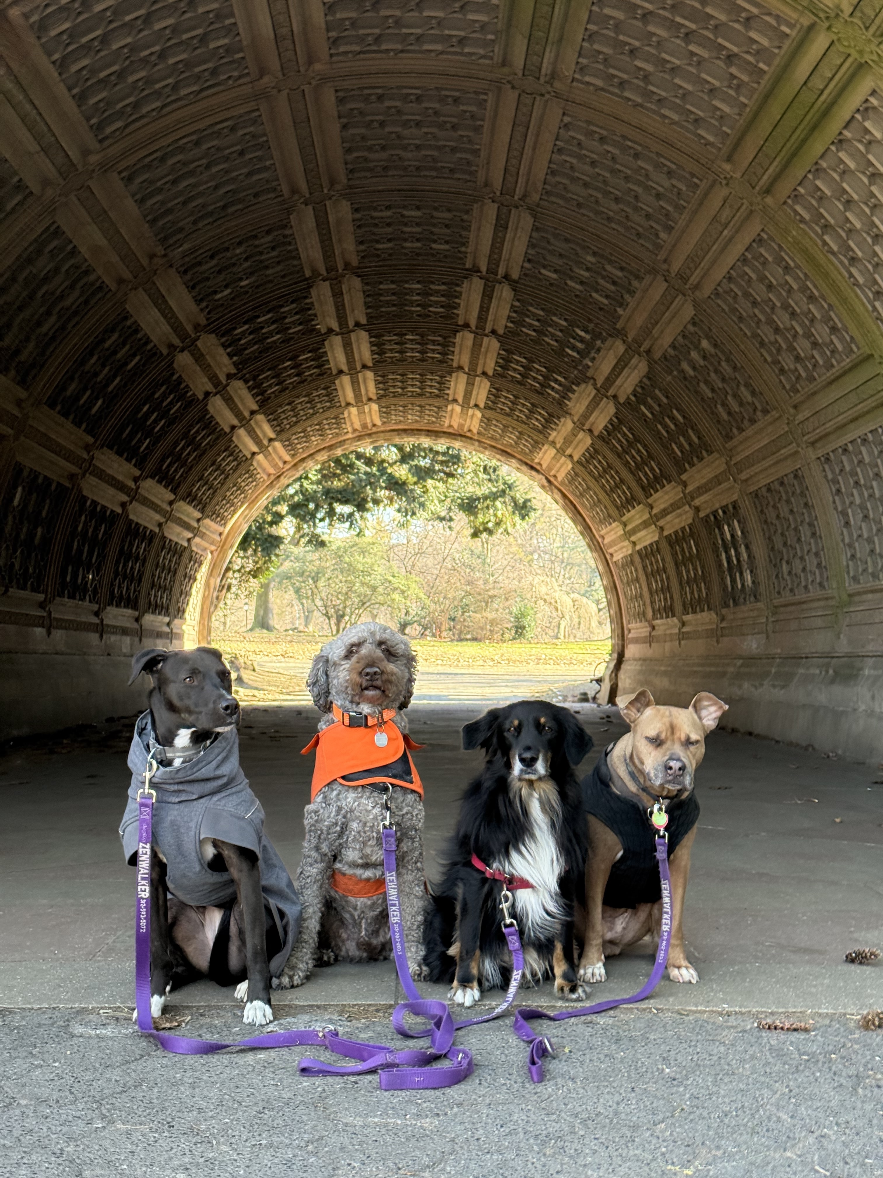  The entirety of Prospect Park is our playground. 