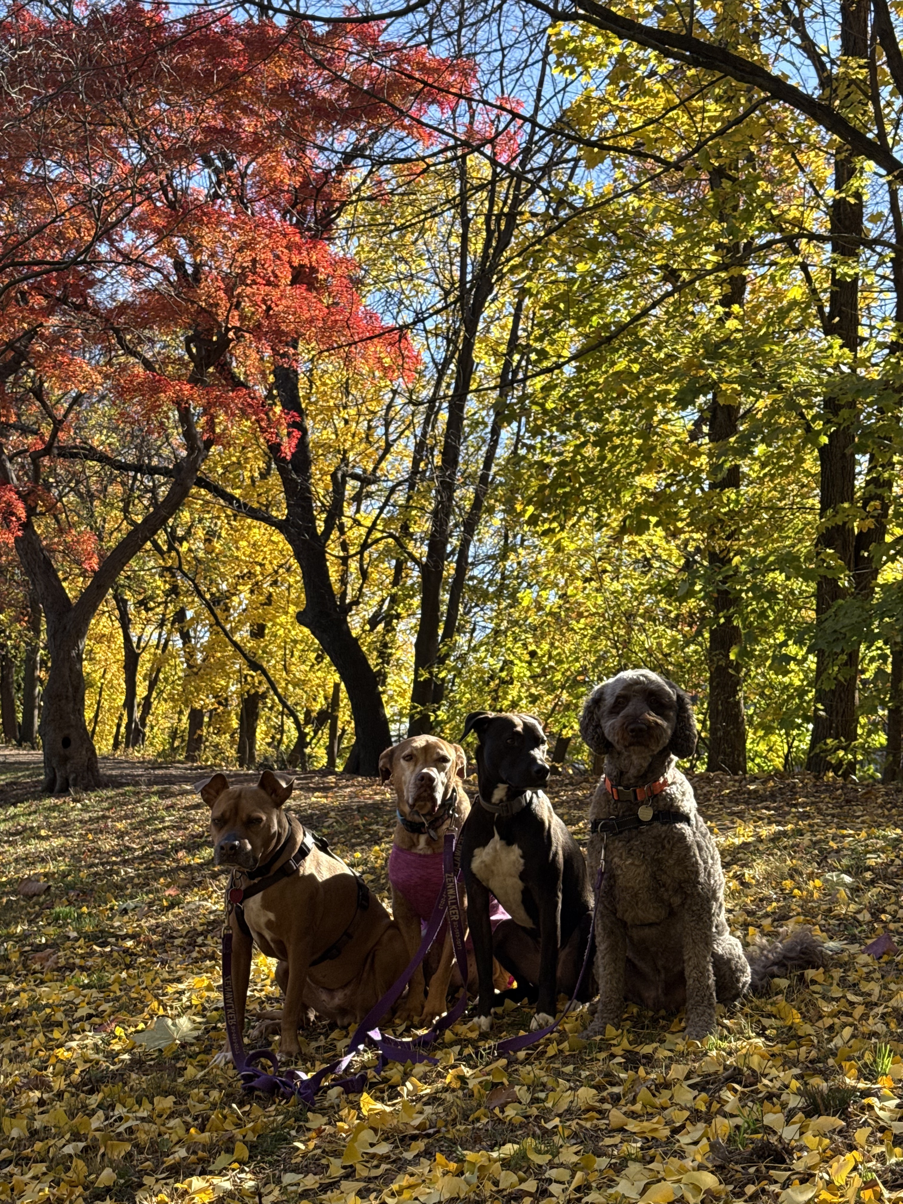  We celebrate the changes of season. 