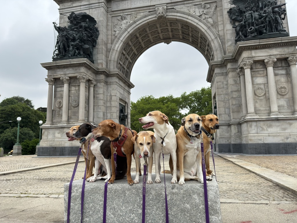 On every walk, we pose patiently and then receive a treat. 