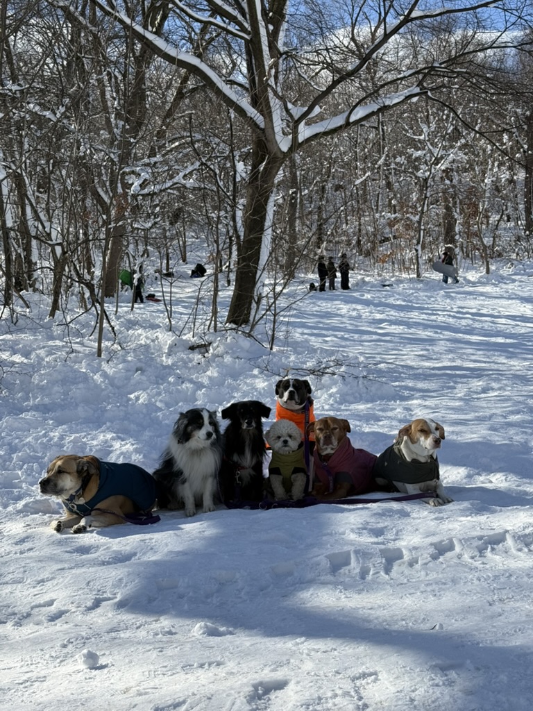  We bundle up for our hour-long walks. 