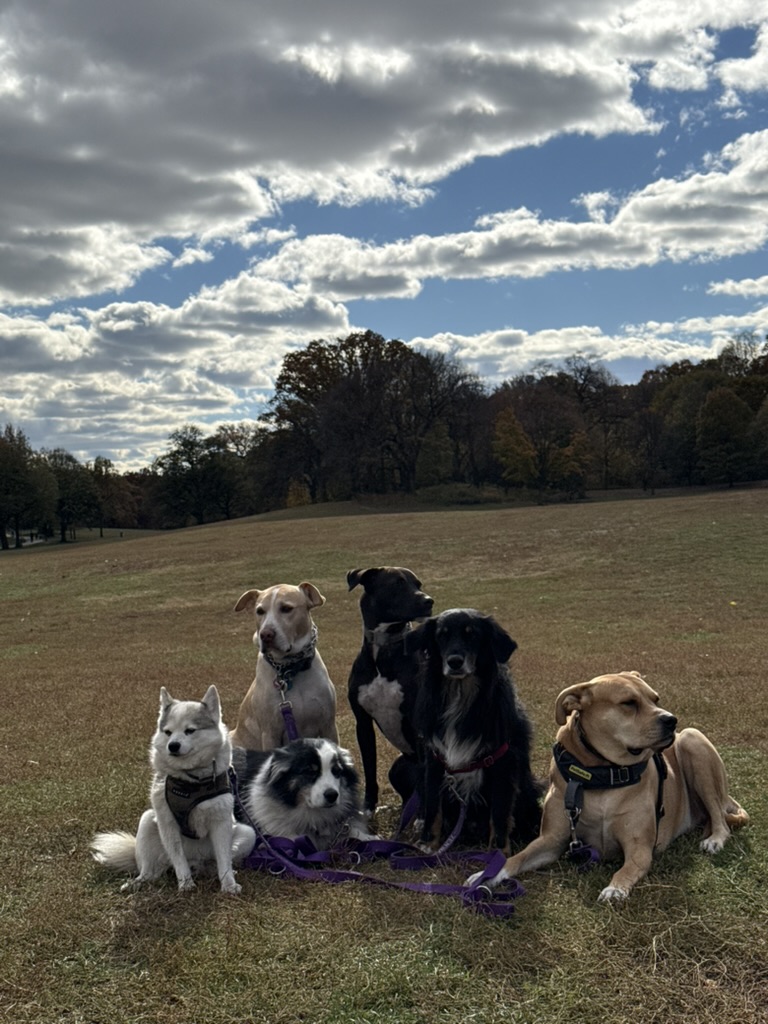  We explore the vast meadows... 